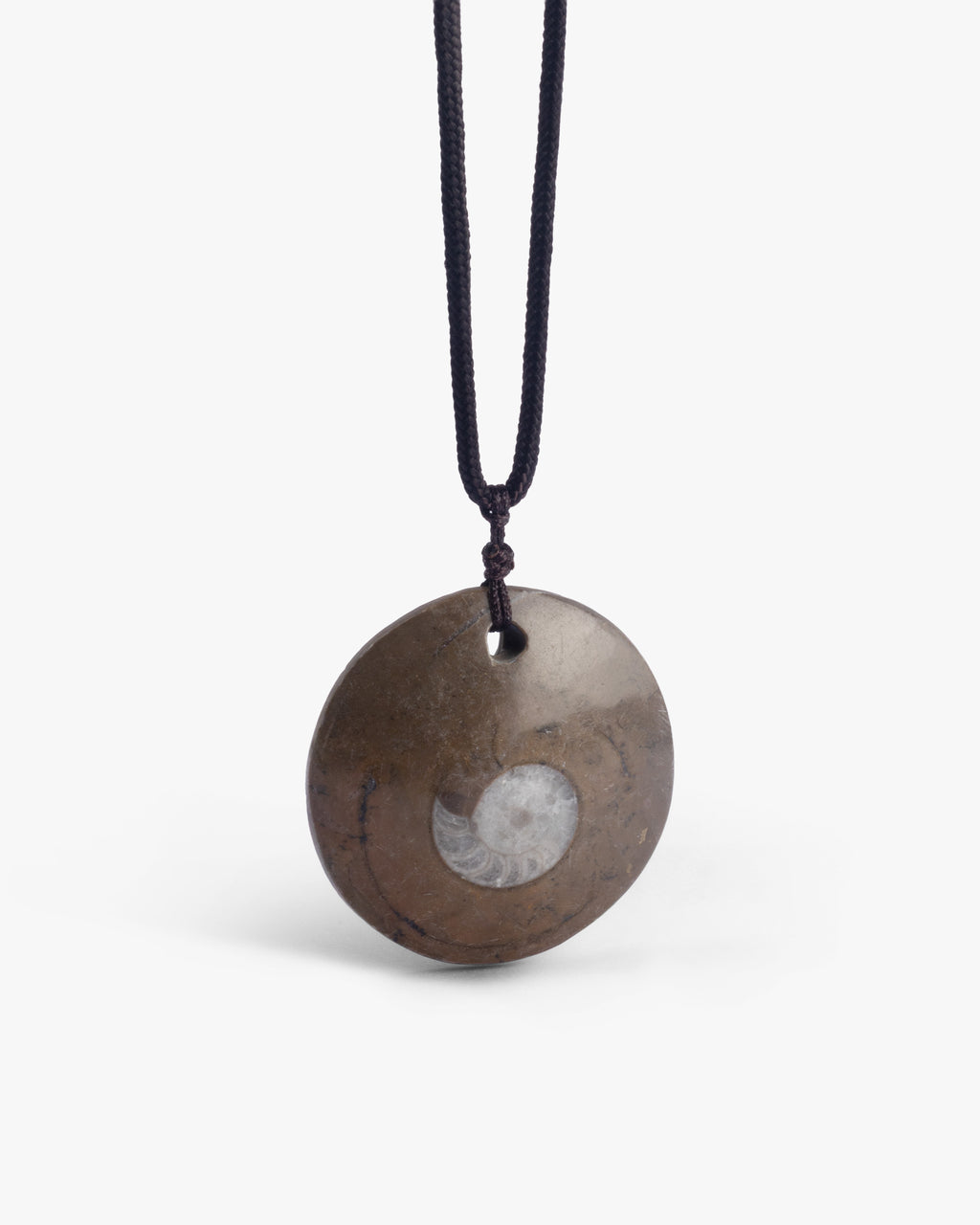 Chunky Medallion Necklace Pendant In Ammonite Fossil